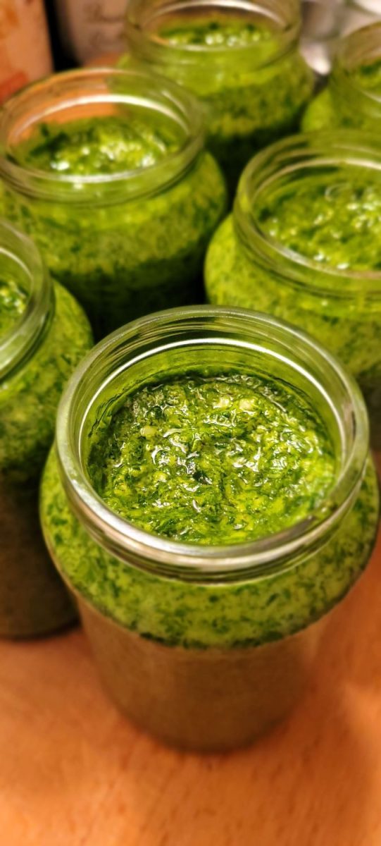 Nina's Recipes: Wild Garlic / Bear's Garlic / Ramson (Bärlauch) Pesto - ready, in a jar