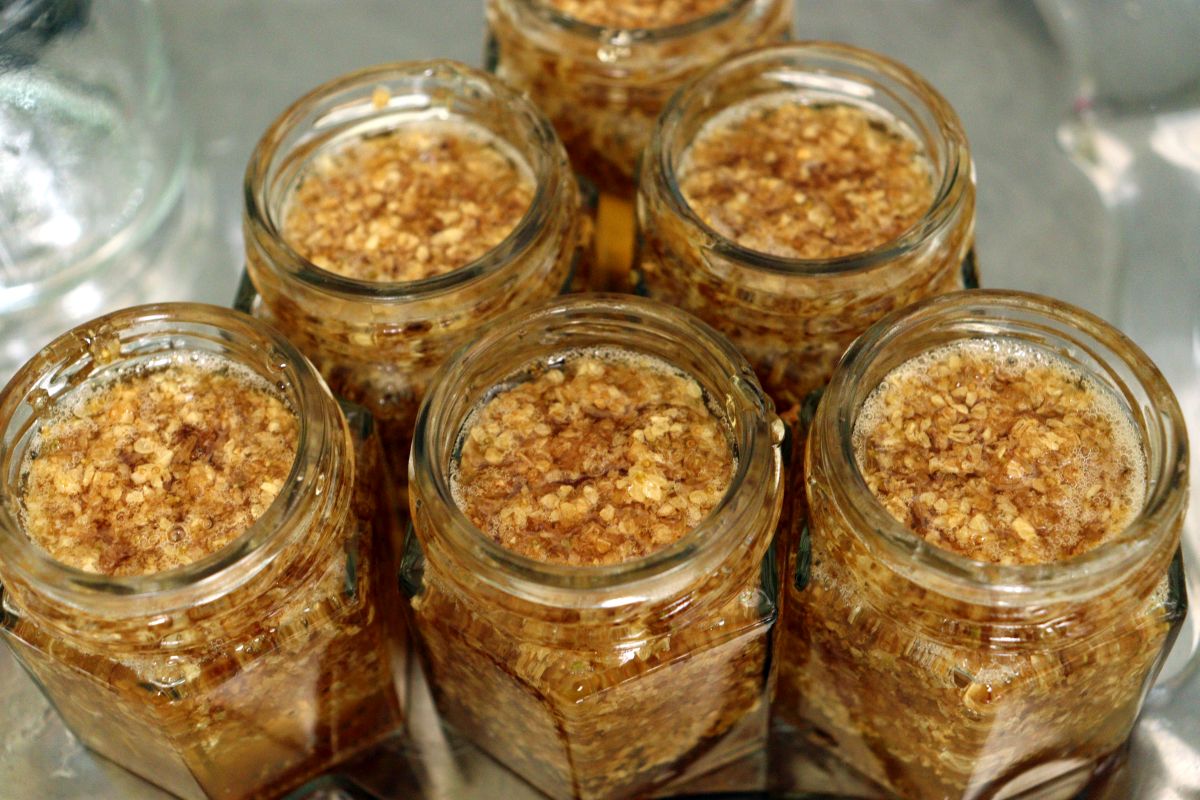 Elderflower confiture freshly made, in small open jars 