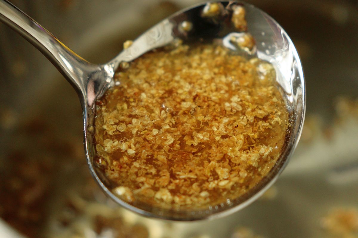 Freshly made elderflower confiture