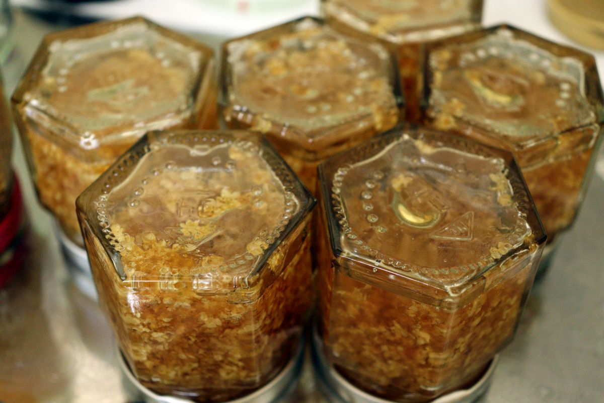 Elderflower confiture freshly made, in small jars, turned upside down for cooling