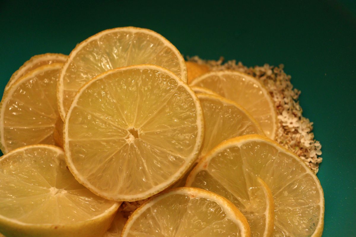 Lemon cut in slices, on top of elderflowers