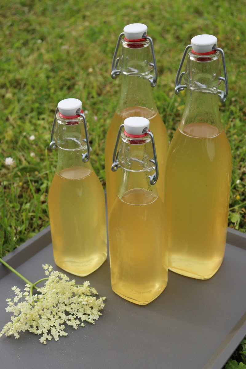 Elderflower syrup or cordial recipe for Lemonade made from elderflowers and lemon