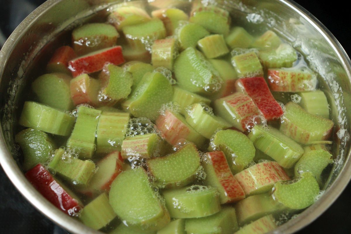 Rhubarb pieces rinsed with hot water