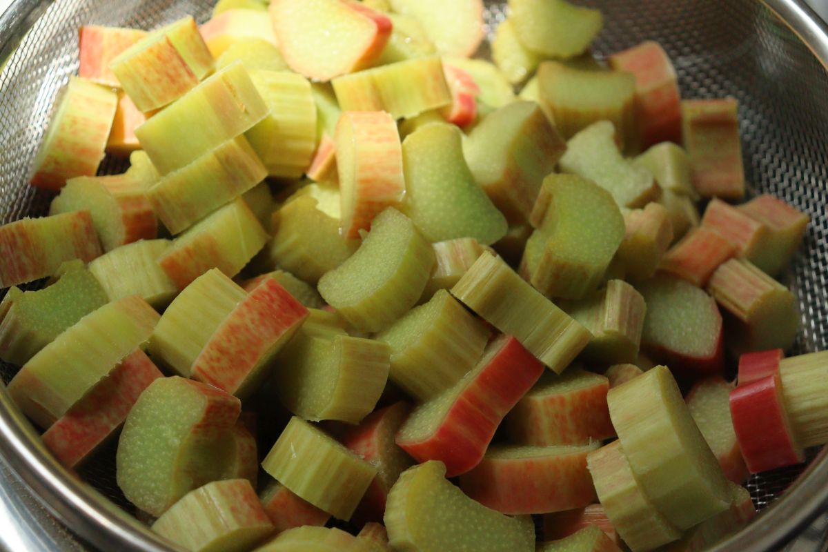 Rhubarb pieces rinsed with hot water and strained through a sieve