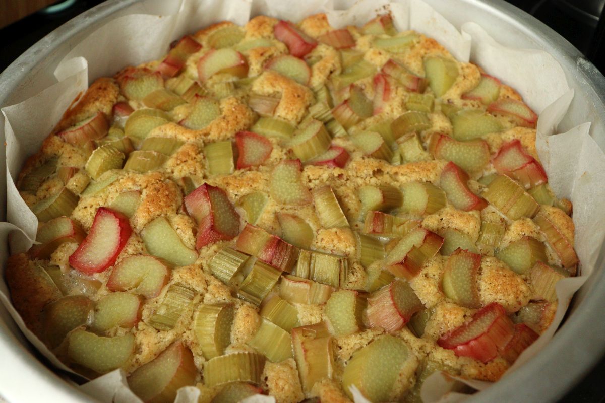 Freshly baked rhubarb cake without meringue