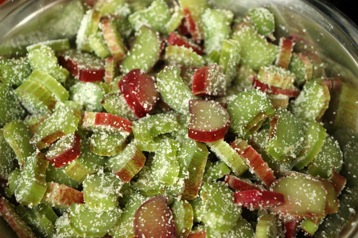 Rhubarb cut in small pieces and mixed with semolina or bread crumbs, for cakes and pies