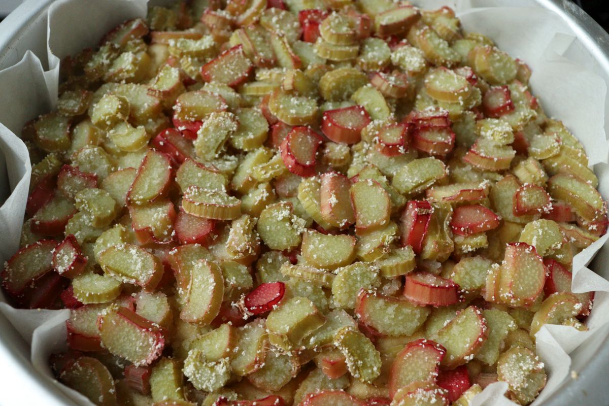 Baked rhubarb cake cooling down for a few minutes, before adding the meringue on top