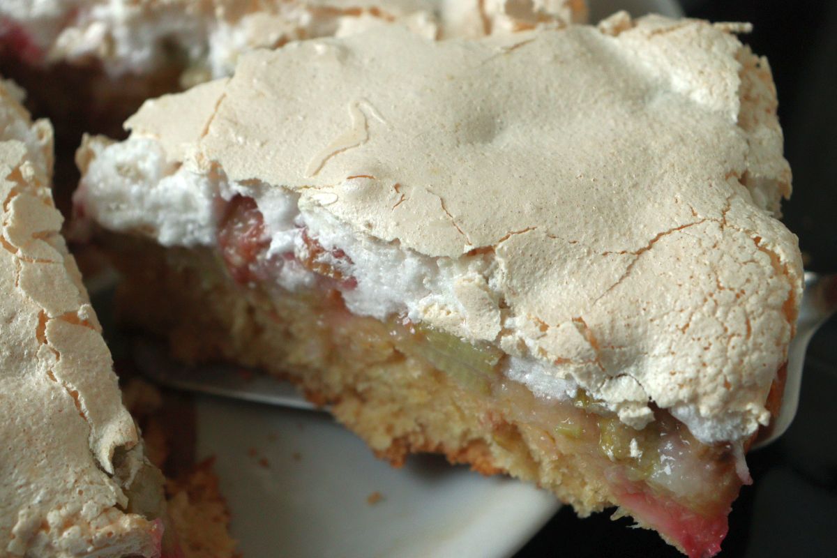 Piece of Rhubarb Cake with sour cream or joghurt and Meringue