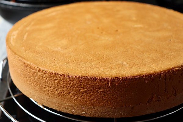 Perfect Sponge Cake (Biskuit)