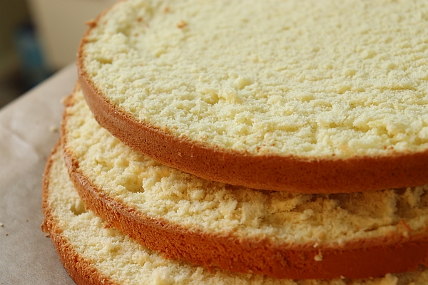 Sponge cake (Biskuit) cut into 3 layers