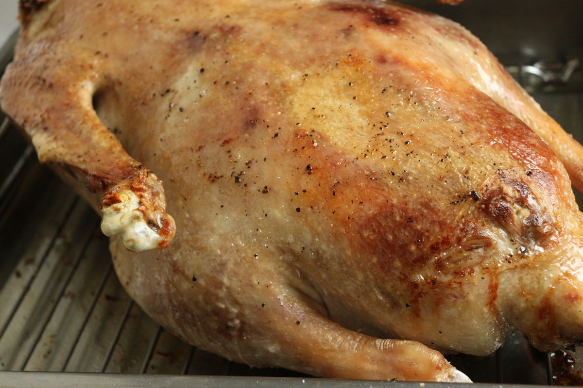 Nina Recipes: Roast goose with chestnut filling for Martin's Day or Christmas - Roasted on the chest for 1 hour