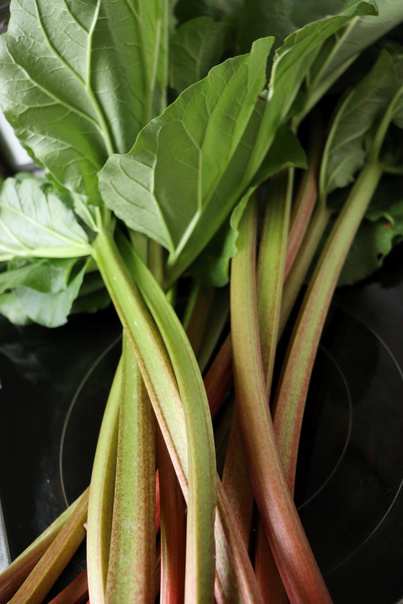 Rhubarb stalks with leaves