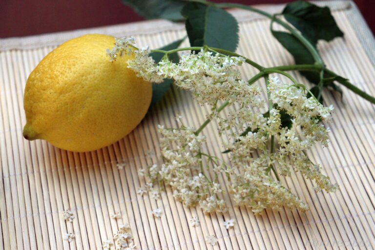 Nina Recipes: Elderflower and lemon used to make a delicious elderflower syrup or elderflower lemonade