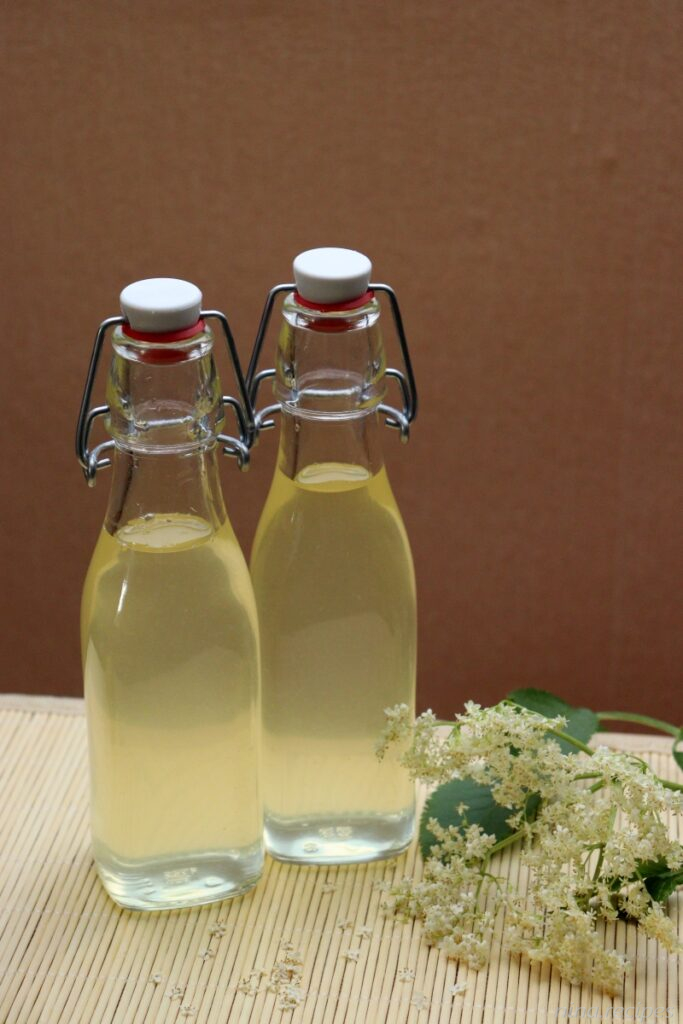 Bottles of homemade Elderflower syrup/cordial/squash for Elderflower Lemonade