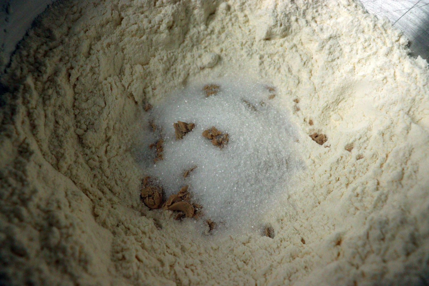 Dreikönigskuchen – Three Kings’ Cake with Raisins: preparing the yeast dough