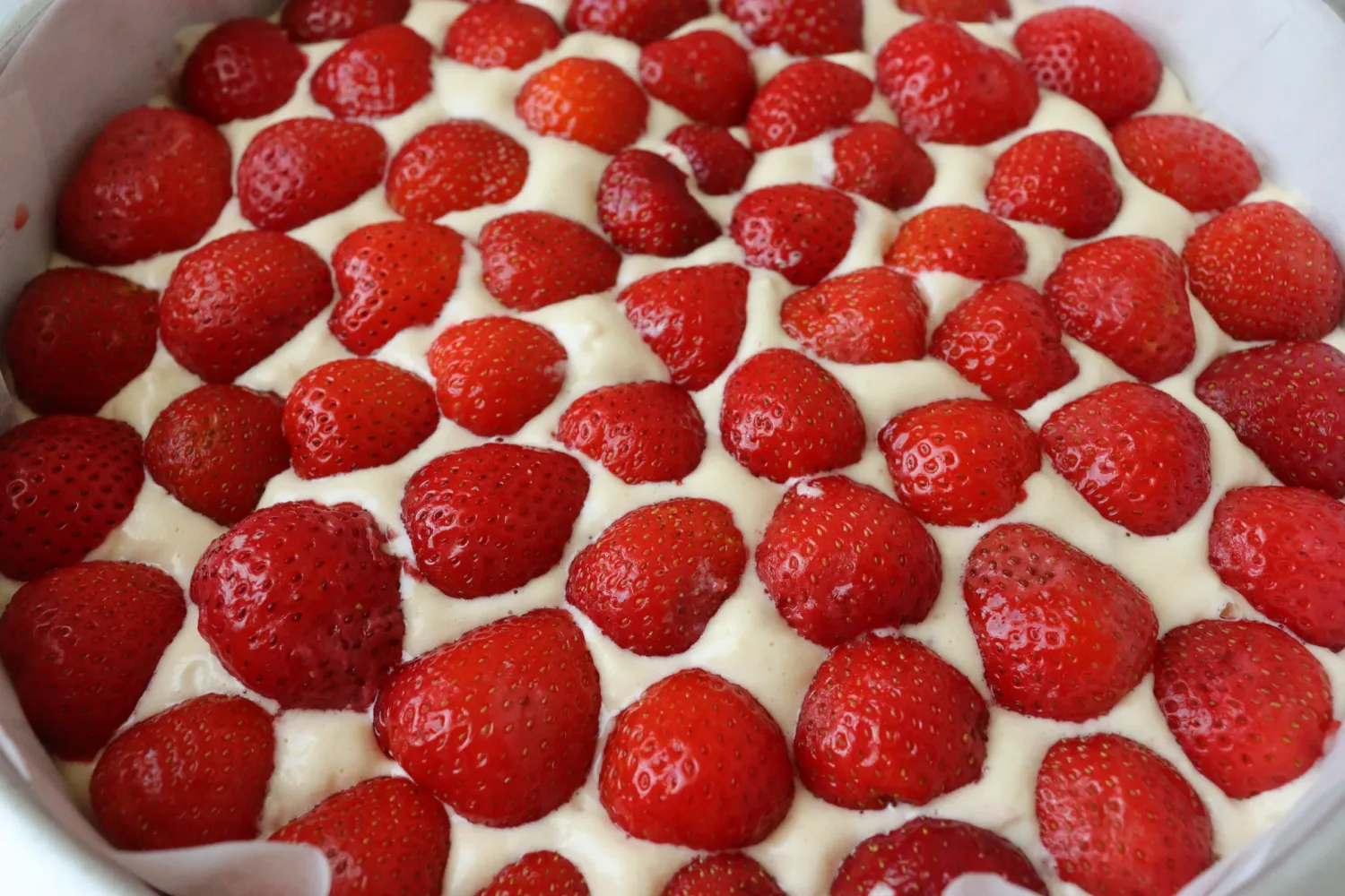 Nina's Recipes - Strawberry Biscuit Cake batter in a springform pan, topped with strawberries