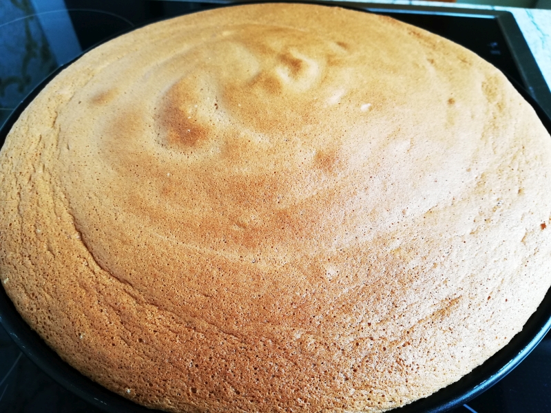 basic sponge cake: baked